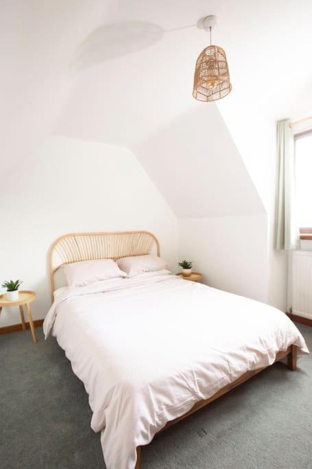 Hillside Cottage, Countryside Views Near Llangollen 코웬 외부 사진
